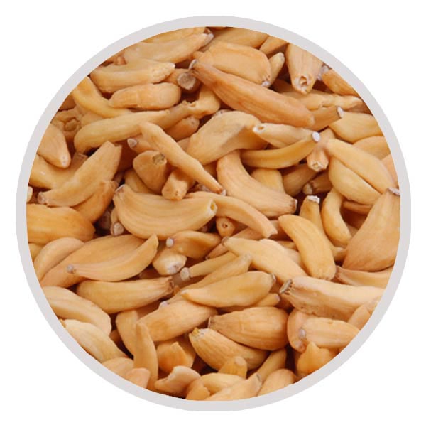 Dehydrated Garlics